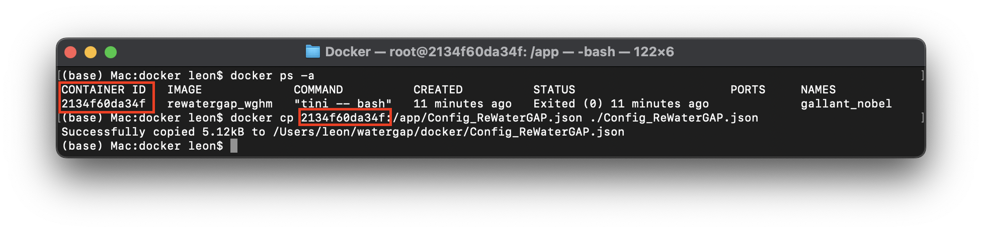 Running the WaterGAP (WGHM) Docker Container — ReWaterGAP 2.3 (under ...